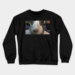 Nose boop pig Crewneck Sweatshirt